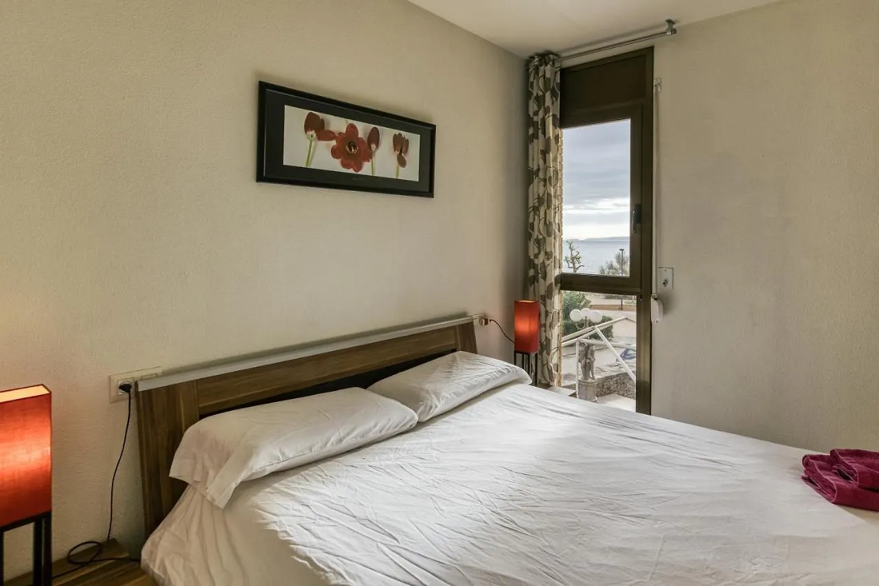 Roses Frontline Perfect For Family Apartment