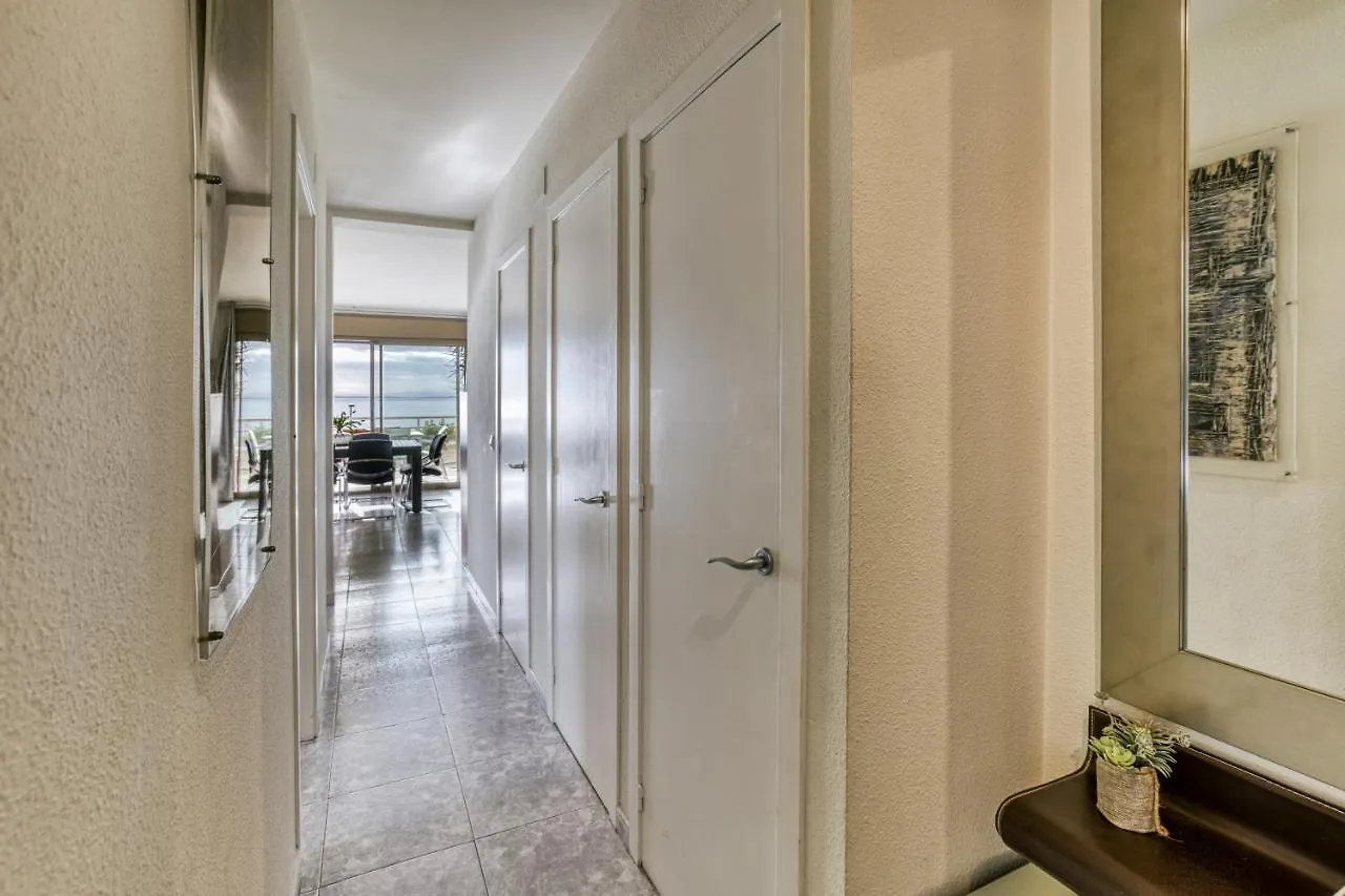 Roses Frontline Perfect For Family Apartment