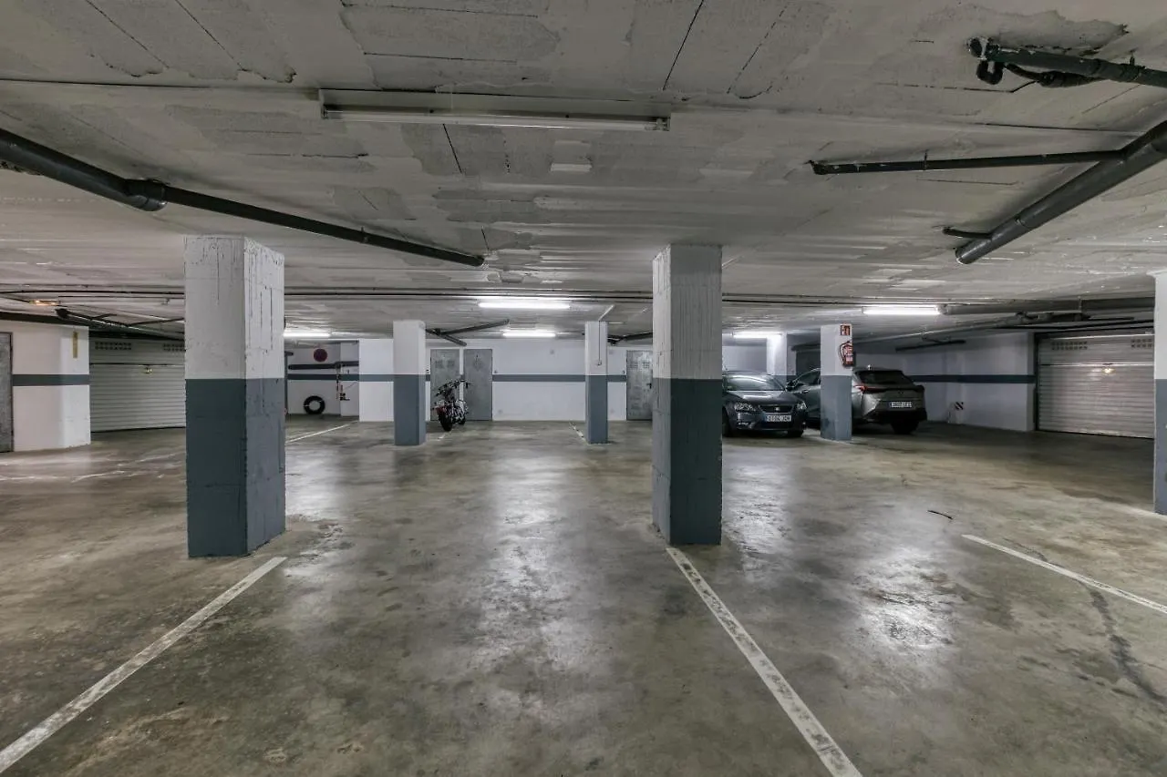 Roses Frontline Perfect For Family Apartment
